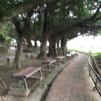 taipei (20) (640x640)