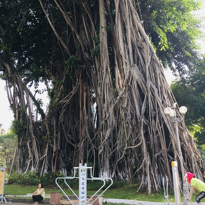 20191202_hochiminh_Jogging (28)