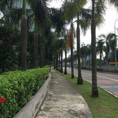 20191203_putrajaya_Jogging (22)