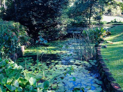 Kuala_Lumpur_Jogging (26)