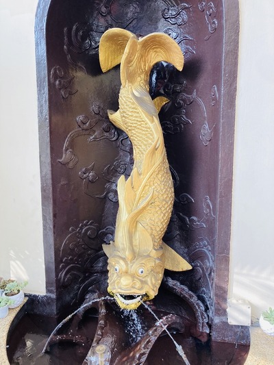 20250301_SGN_Jog (5)