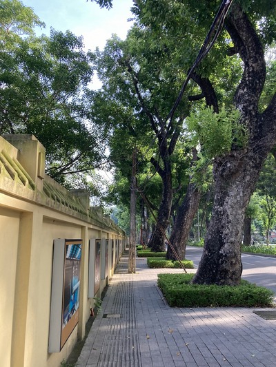 20240706_HANOI_JOGGING (17)