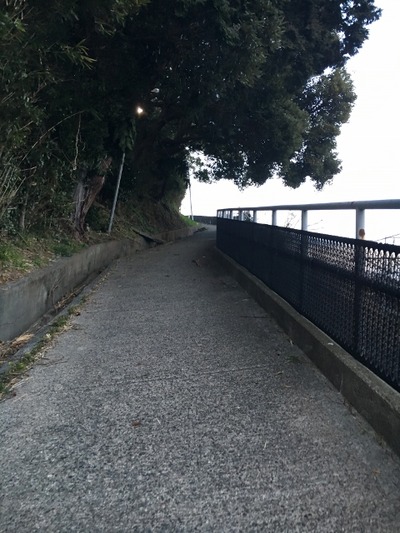 20170303_atami (17) (480x640)