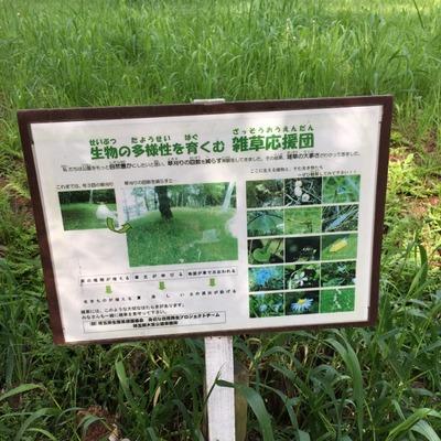 20170504_omiya (35) (640x640)