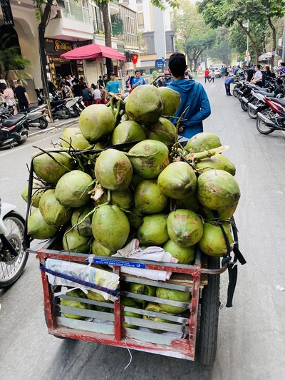 20221105_HANOI (6)