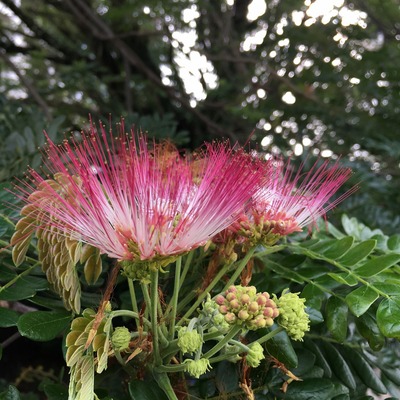 20191203_putrajaya_Jogging (6)