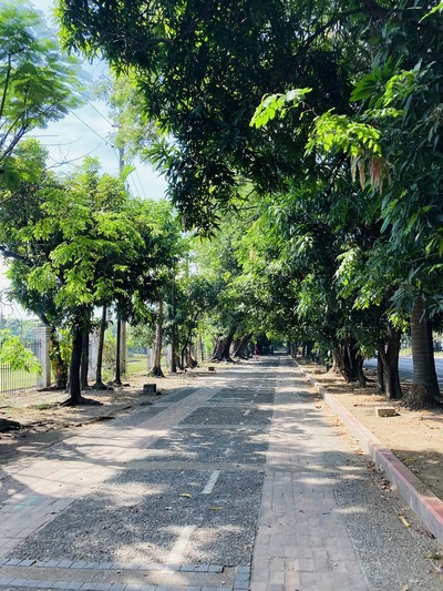 20250429_Manila_Jog (52)