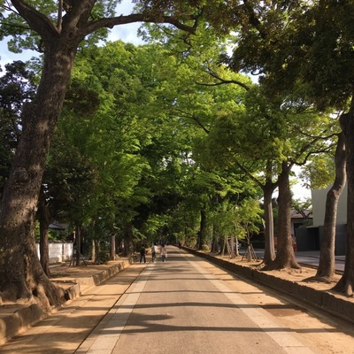 20170504_omiya (8) (640x640)