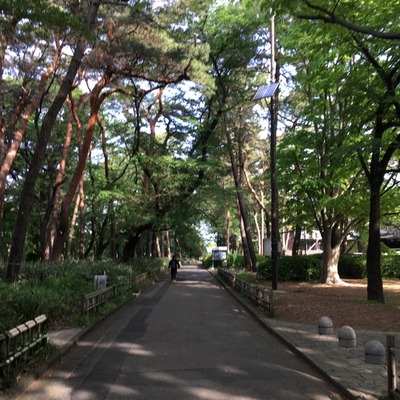 20170504_omiya (29) (640x640)