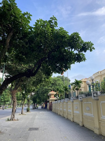 20240706_HANOI_JOGGING (14)