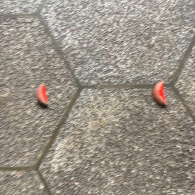 taipei (36) (640x640)