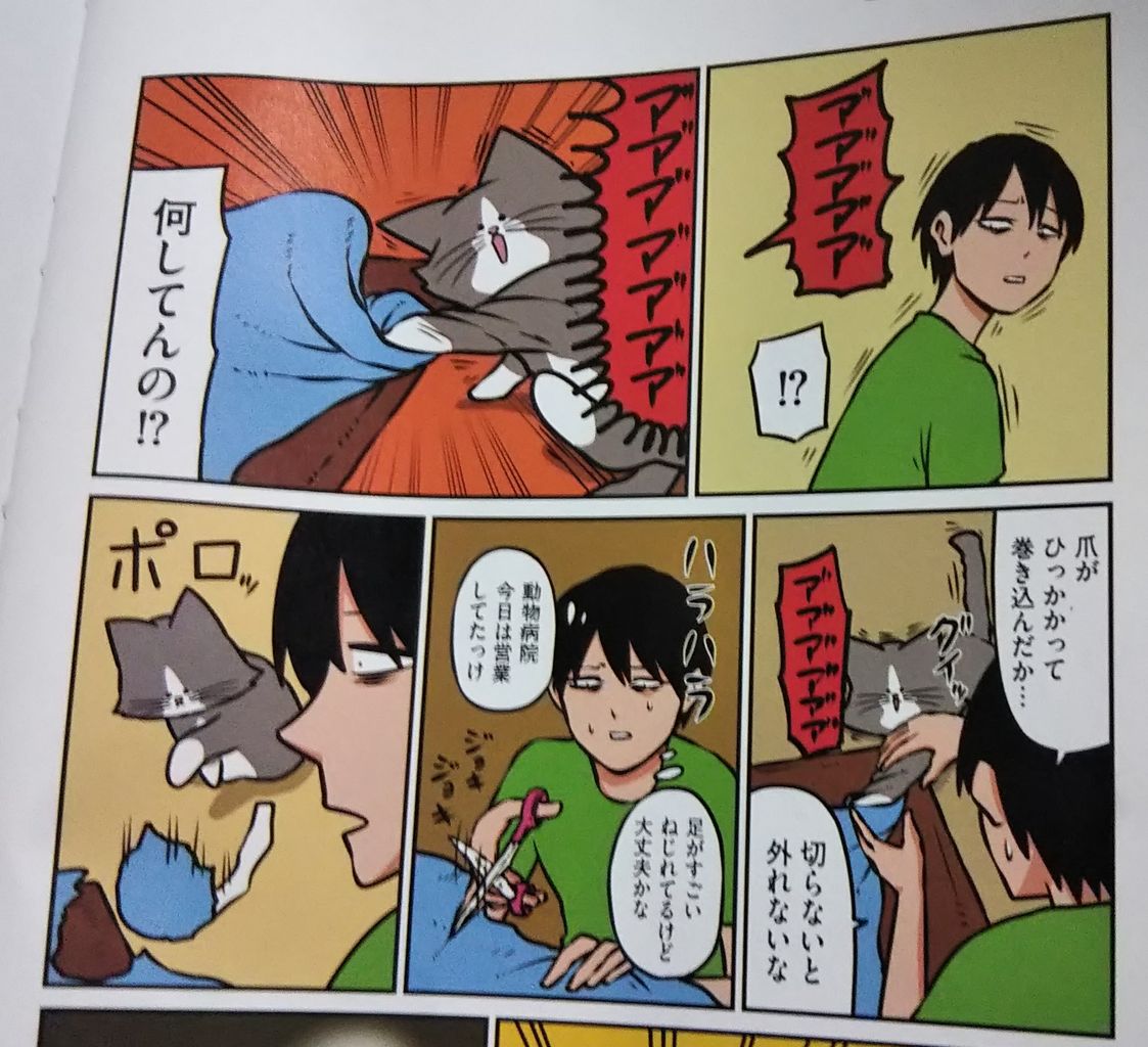 鴻池剛と猫のぽんた ニャアアアン 3巻 乃武子と幸せになろうよ 鴻池剛と猫のぽんた ニャアアアン 3巻 乃武子と幸せになろうよ
