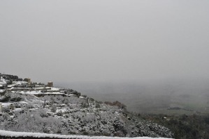 _DSC0851