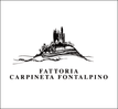 carpinetafontalpino