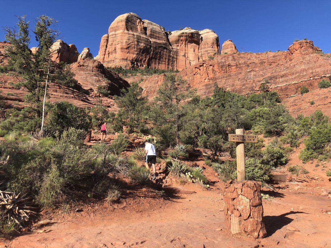 アメリカ】セドナハイキング・カセドラルロック [USA] Sedona Hiking