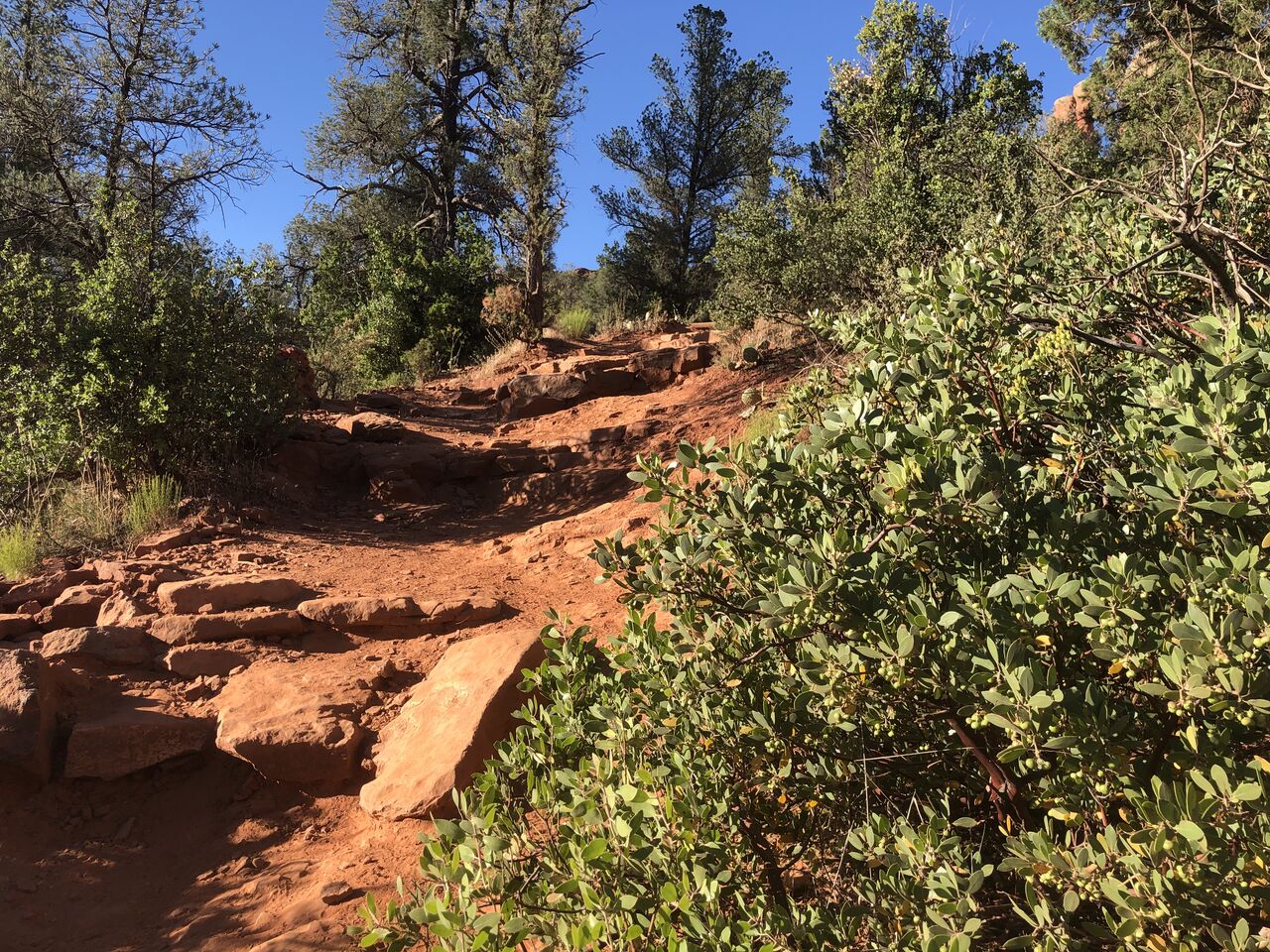 アメリカ】セドナハイキング・カセドラルロック [USA] Sedona Hiking