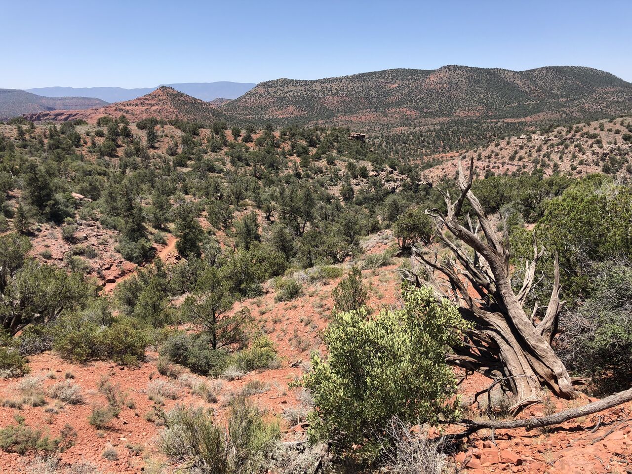 アメリカ】セドナハイキング・ウエストセドナからレッドロック