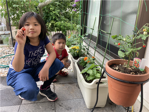 5個のタミヤ15.5Tブラシレスモーターを計測してみた : ひろやんのRC日記