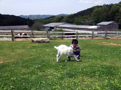 DSCF24551