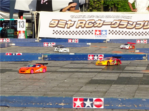 DSC06933 (2)