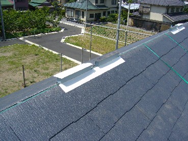 1e809062.jpg
