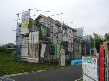1fbf31f9.jpg