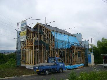 27d3bdc2.jpg