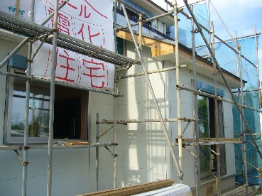 453e6acc.jpg