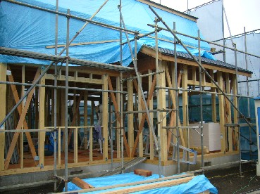 5638ef3e.jpg