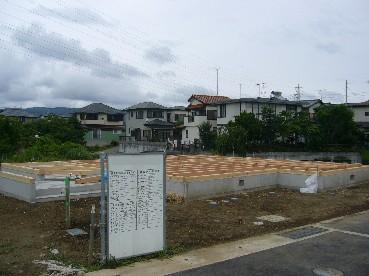 d274bb53.jpg