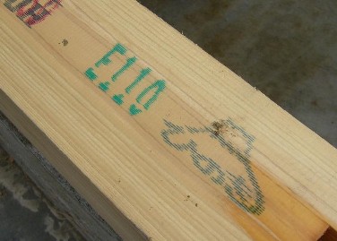 fa824463.jpg
