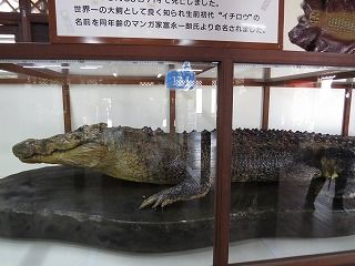 13 大分 別府地獄めぐり 2 キラキラ80代のおひとりさまの旅と生活 のぶこトラベル 1 13 大分 別府地獄めぐり 2 キラキラ80代のおひとりさまの旅と生活 のぶこトラベル 1