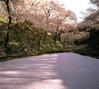 高遠城址公園 (同市高遠町総合支所提供)