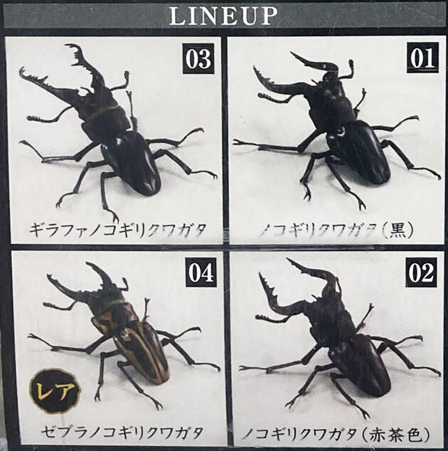 レビュー バンダイガシャポン いきもの大図鑑 くわがた : ふぃぎゅる! レビュー バンダイガシャポン いきもの大図鑑 くわがた : ふぃぎゅる!