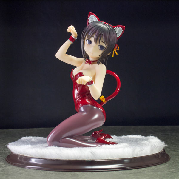 レビュー マックスファクトリー 三日月夜空 キャット レビュー マックスファクトリー 三日月夜空 キャット