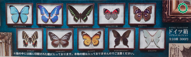 レビュー カプセルトイ サイエンステクニカラー ドイツ箱 マグネット