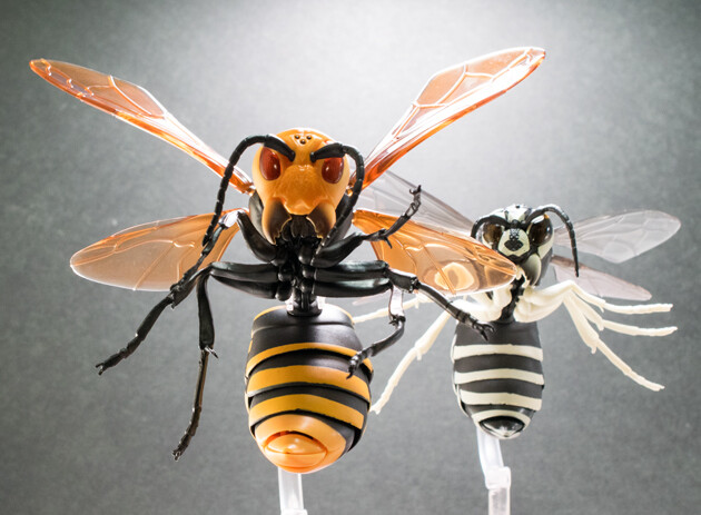 レビュー バンダイガシャポン いきもの大図鑑 すずめばち ふぃぎゅる