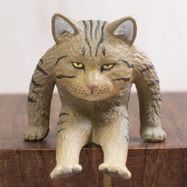 レビュー 奇譚クラブ 座る変な猫 ふぃぎゅる レビュー 奇譚クラブ 座る変な猫 ふぃぎゅる