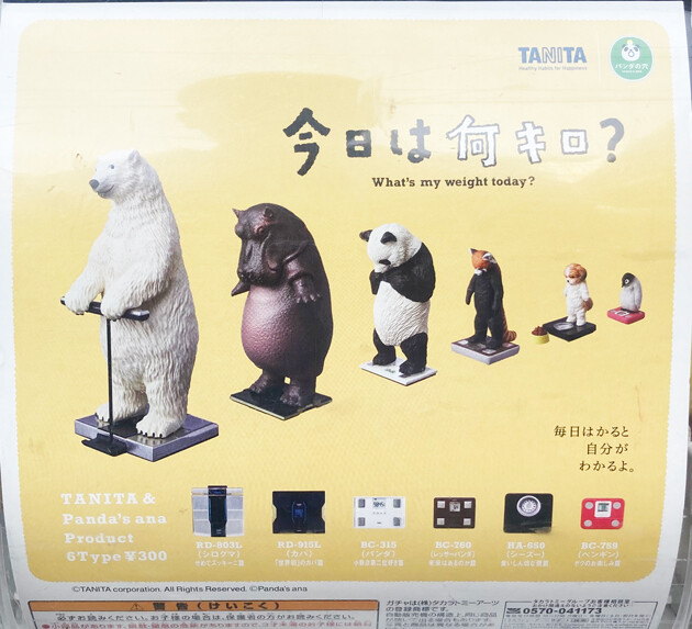 今日は何キロ？ Season 2｜パンダの穴｜スペシャルサイト