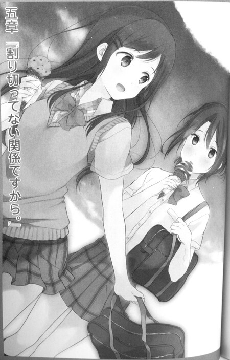 読書レビュー 入間人間 安達としまむら 9巻 ふぃぎゅる