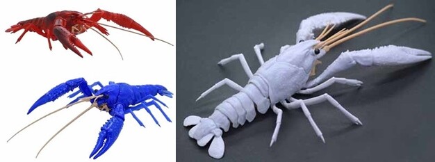 レビュー フジミ模型 自由研究シリーズ No 24 いきもの編 アメリカザリガニ レッド ふぃぎゅる レビュー フジミ模型 自由研究シリーズ No 24 いきもの編 アメリカザリガニ レッド ふぃぎゅる