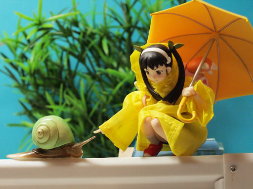 レビュー figma 化物語 神原駿河 後編＋小物編 : ふぃぎゅる！