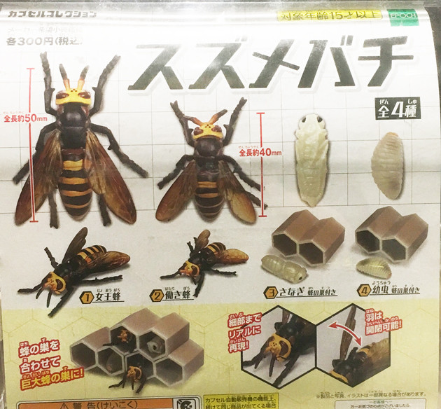 レビュー カプセルトイ So Ta 1 1 ヘラクレスオオカブト ふぃぎゅる