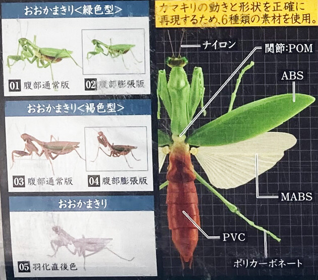高質 ガシャポン いきもの大図鑑 くわがた スズメバチ かまきり セット フィギュア Oyostate Gov Ng