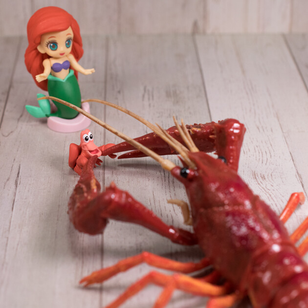 レビュー バンダイ食玩 ディズニー プリコット プーペ 2 ジーニー ふぃぎゅる