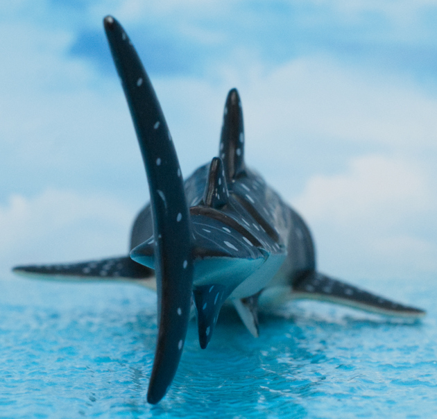 アニア　ジンベエザメ Amazon.co.jp: アニアAL-05 ジンベエザメ : おもちゃ