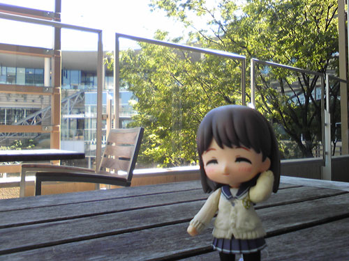 ドール系小物のお店に行ってきました 文教堂ホビーららぽーと横浜店 ふぃぎゅる