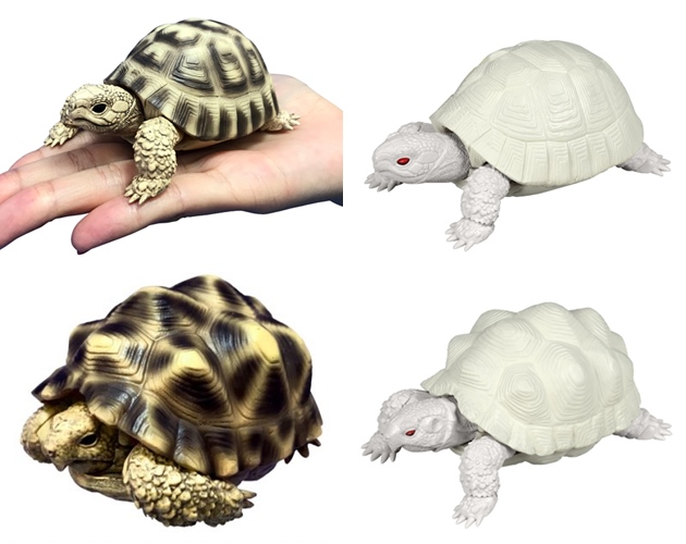 レビュー バンダイ ガシャポン だんごむし03 新作だんごむしなどなど ふぃぎゅる