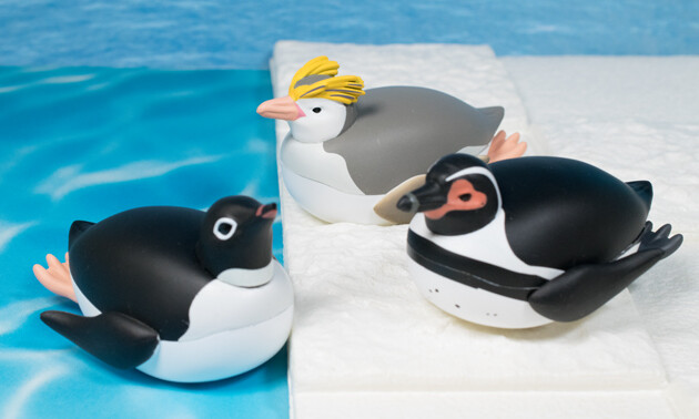 レビュー タカラトミーアーツ カプセルトイ トボガンすべりペンギン ふぃぎゅる レビュー タカラトミーアーツ カプセルトイ トボガンすべりペンギン ふぃぎゅる