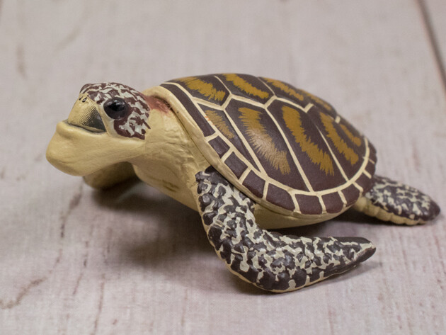 しゃくれる亀 裏返さ